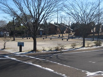 20161216-IMG_0905.jpg