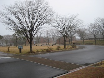 20161221-IMG_0930.jpg