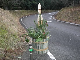 20161227-081.jpg