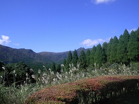 20170109-019.jpg