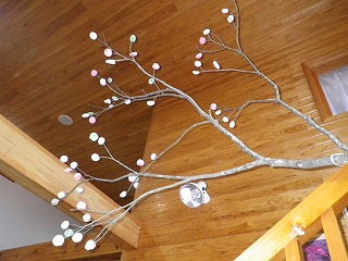 20170116-RIMG3772.jpg