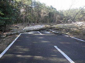 20170117-011.jpg
