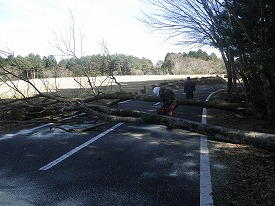 20170117-012.jpg