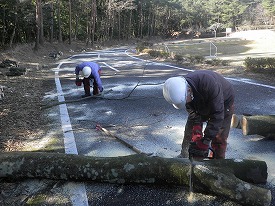20170117-013.jpg
