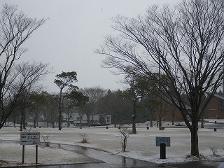 20170120-RIMG3793.jpg