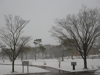 20170120-RIMG3794.jpg