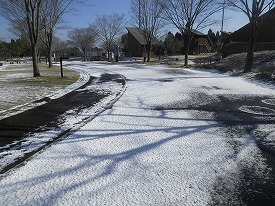 20170121-001.jpg