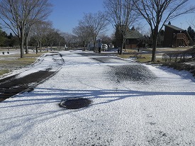 20170121-002.jpg
