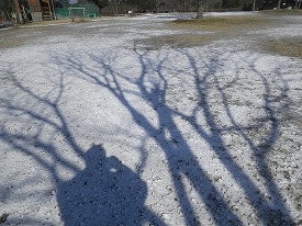 20170121-003.jpg