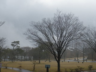 20170129-RIMG3805.jpg