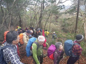20170207-012.jpg