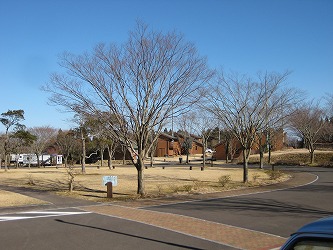 20170218-IMG_1044.jpg