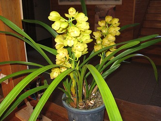 20170219-IMG_1047.jpg