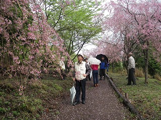 20170305-027.jpg
