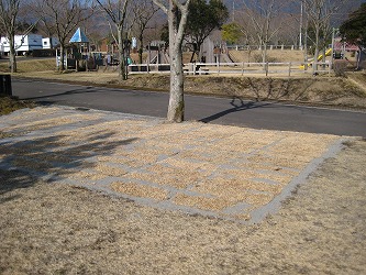 20170311-IMG_1118.jpg