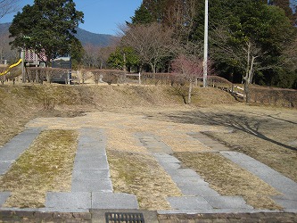 20170311-IMG_1120.jpg