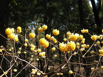 20170327-IMG_1172.jpg