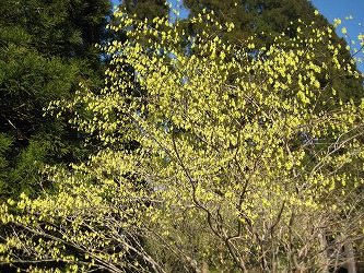20170404-IMG_1283.jpg
