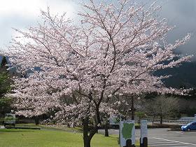20170411-015.jpg