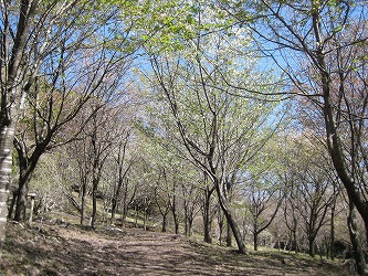 20170413-IMG_1300.jpg