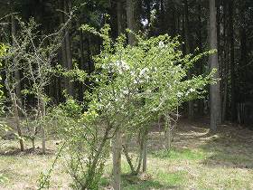20170418-001.jpg