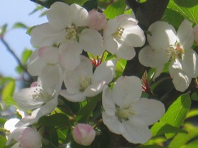 20170418-002.jpg