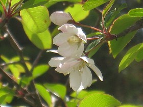20170418-005.jpg