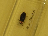 20170419-020.jpg