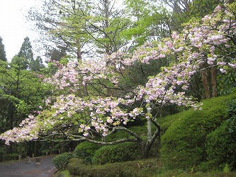 20170420-IMG_1367.jpg