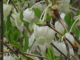20170421-IMG_0004_2.jpg