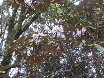 20170424-IMG_1378.jpg
