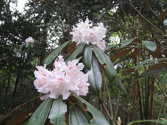 20170424-IMG_1379.jpg