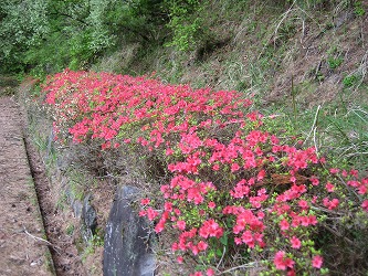 20170502-IMG_1434.jpg