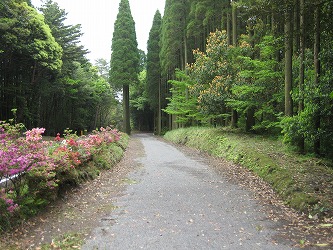 20170510-IMG_1445.jpg