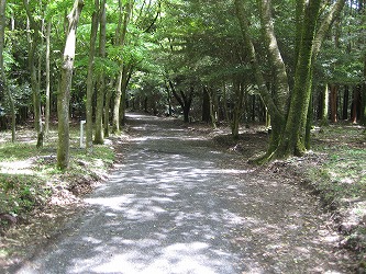 20170510-IMG_1446.jpg
