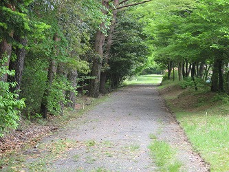20170510-IMG_1447.jpg