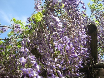 20170514-IMG_1448.jpg