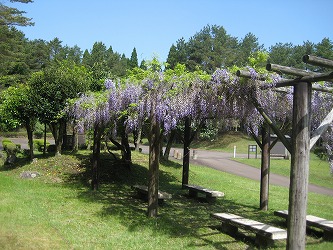20170514-IMG_1449.jpg