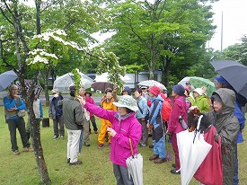 20170607-009.jpg
