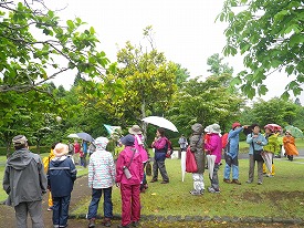 20170607-016.jpg