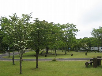 20170611-IMG_1531.jpg