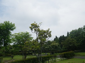 20170612-013.jpg