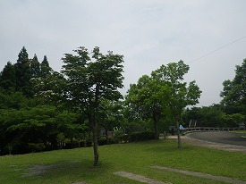20170612-014.jpg
