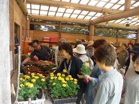 20170621-016.jpg