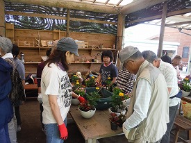 20170621-019.jpg